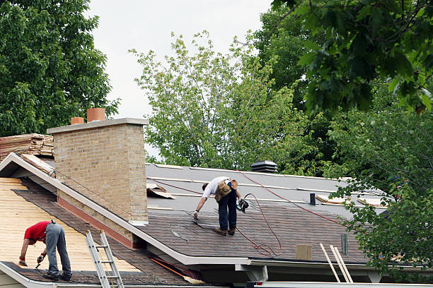 Roof Gutter Cleaning in Lenoir, NC