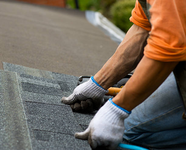 Best Roof Gutter Cleaning  in Lenoir, NC